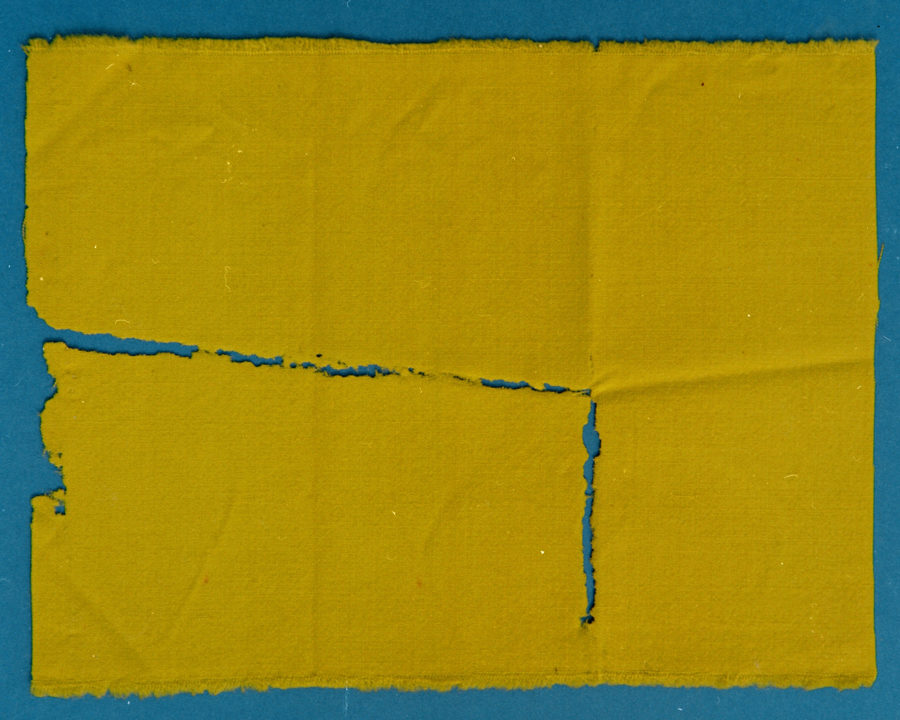 Carpet-Beetle_gallery_04-900x720