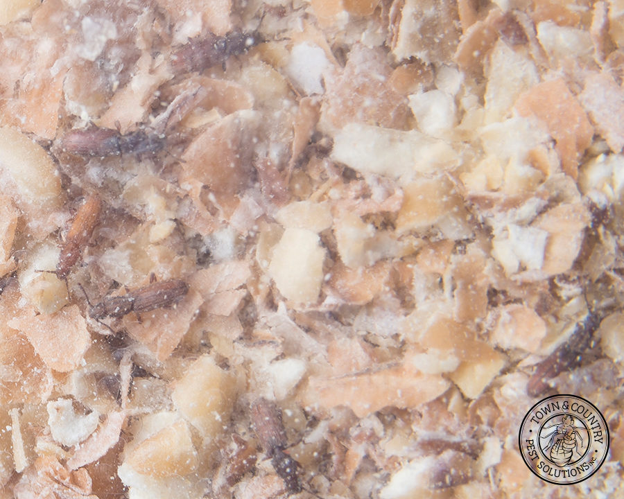 SawtoothGrain_Gallery_05-900x720