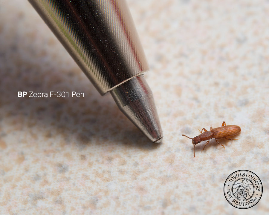 SawtoothGrain_Gallery_10-900x720