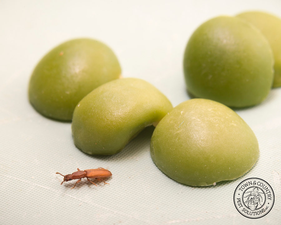 SawtoothGrain_Gallery_13-900x720