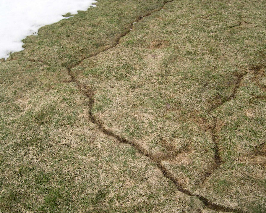 Voles_Gallery_02-900x720