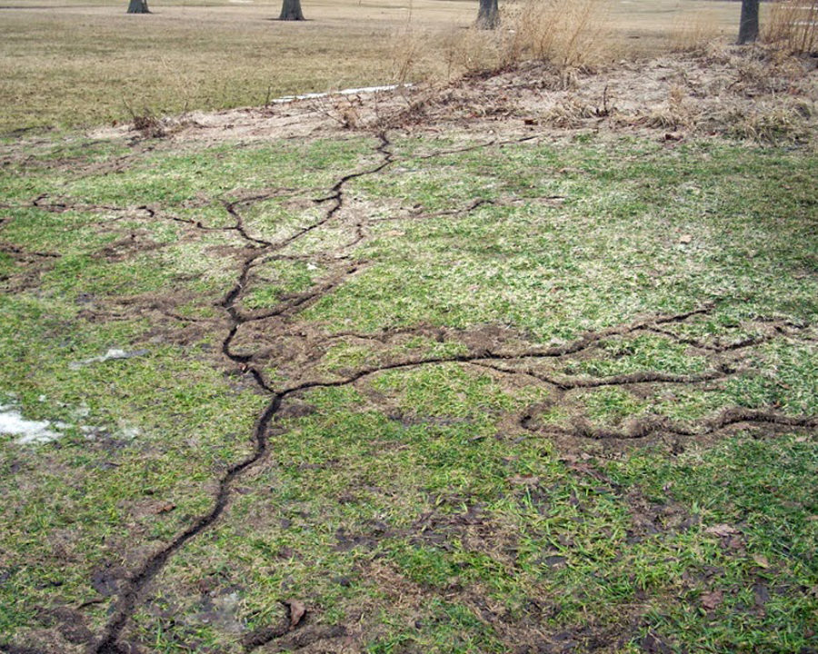 Voles_Gallery_03-900x720