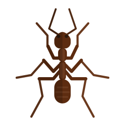 ants