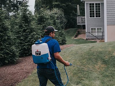 commercial commercial